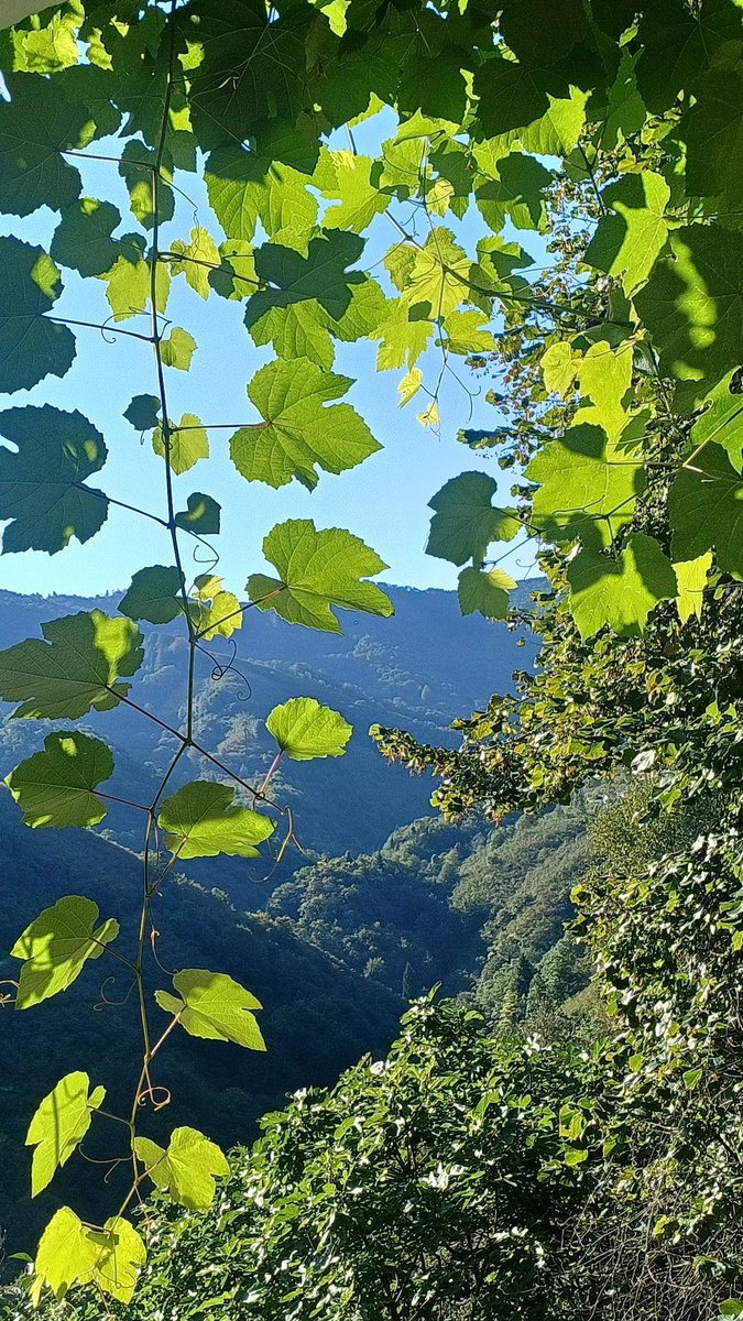 Manzara güzel olunca, bakmaya doyum olmuyor. :))