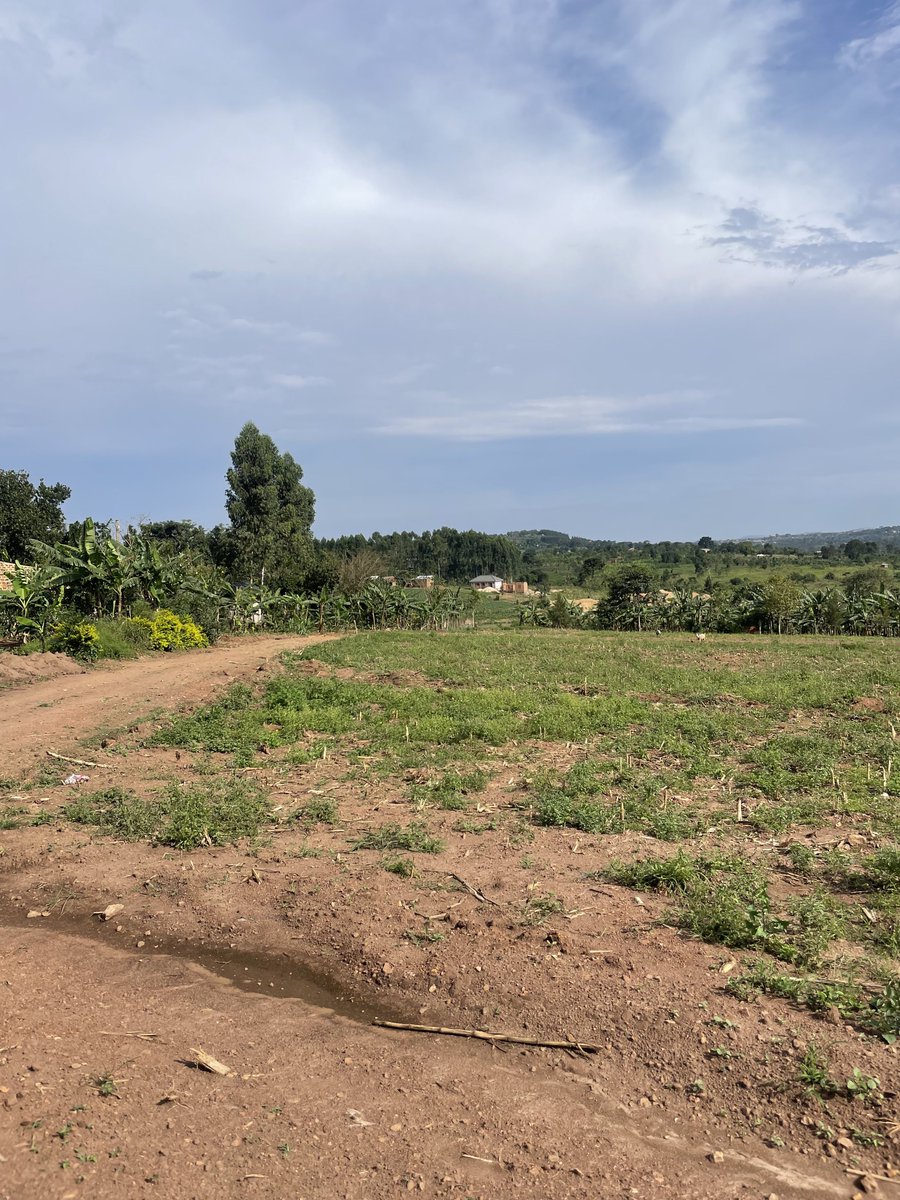 bruno_akampa's tweet image. 50x100ft Plots of Land for Sale. Titled.

• Busukuma-Kasozi  —28M
• Kiwenda —28M
• Busiika —16M
• Kakiri—14M
• Nakasajja—28M
• Sisa—45M

@Absolproperties 
📞 0704408763