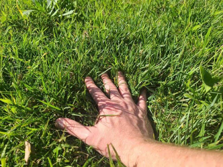 _daniyyel's tweet image. Later this afternoon, we claim our treasure chests from @opensea but for now, let’s touch grass

#openseatouchgrass