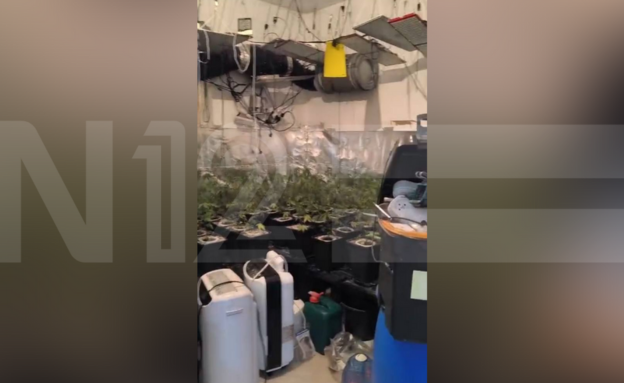 החדשות - N12 tweet media