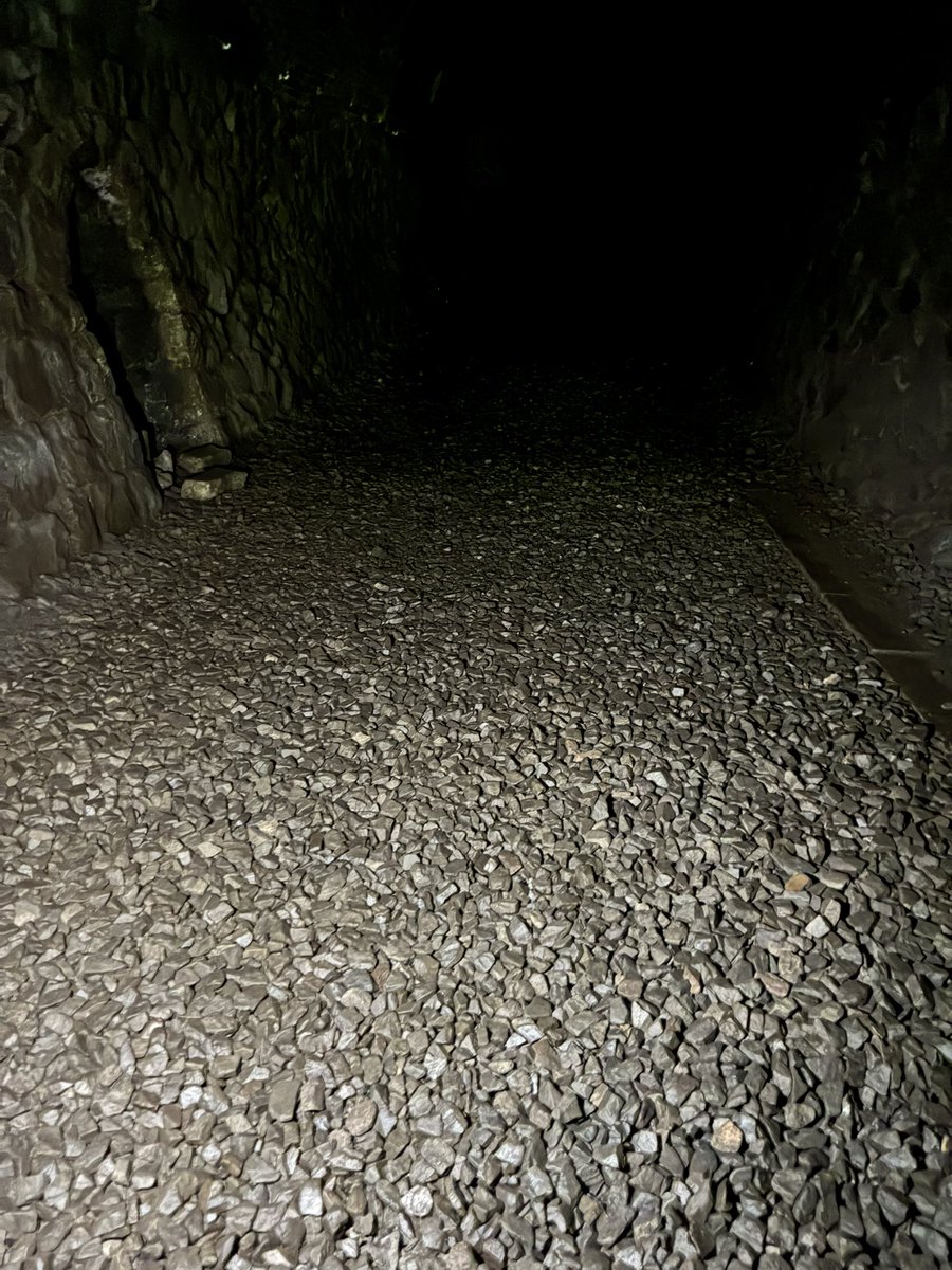 sho (@weathering_pad) on Twitter photo 生きて帰れなかった 生きて帰れなかった