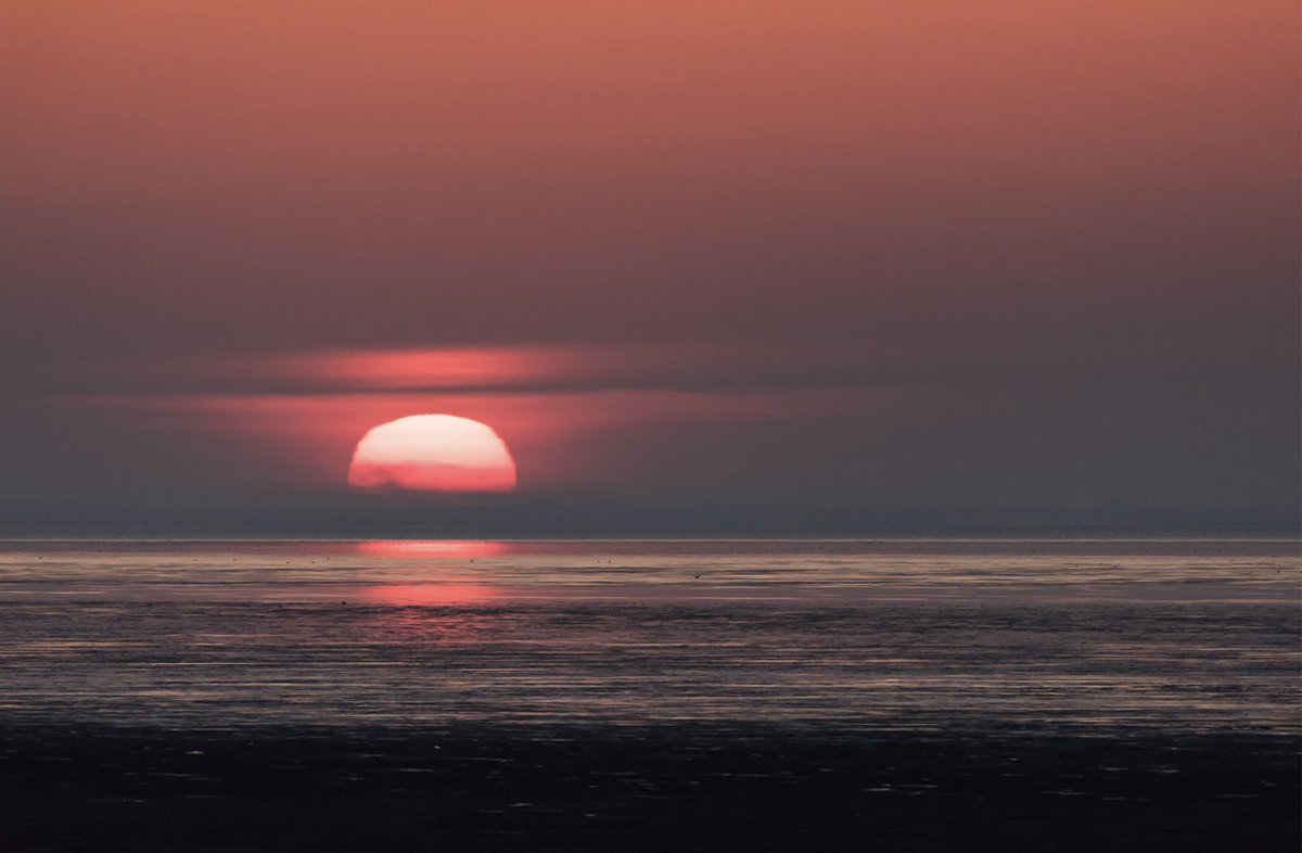 Sophia Mook (@sophiamook) on Twitter photo #dag15 #SeptemberWeer #strandwandeling <a href="/LisetteOpTexel/">πππ€ππ₯π₯π ππππππ€π€ππ</a> #dag15 #SeptemberWeer #strandwandeling <a href="/LisetteOpTexel/">πππ€ππ₯π₯π ππππππ€π€ππ</a>
