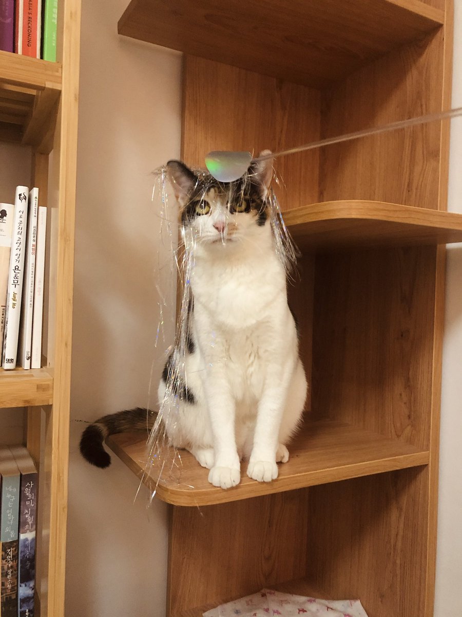 납작쓰👀 (@nabjacks) on Twitter photo 