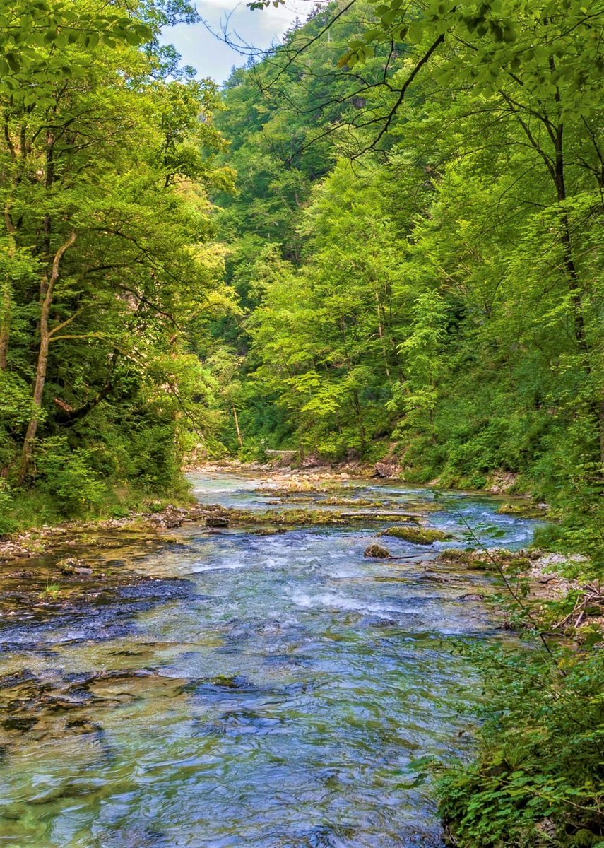 Vintgar Gorge-Slovenia.