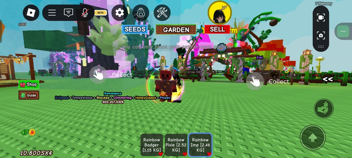 Wts rb pixie r7
Rb imp r7