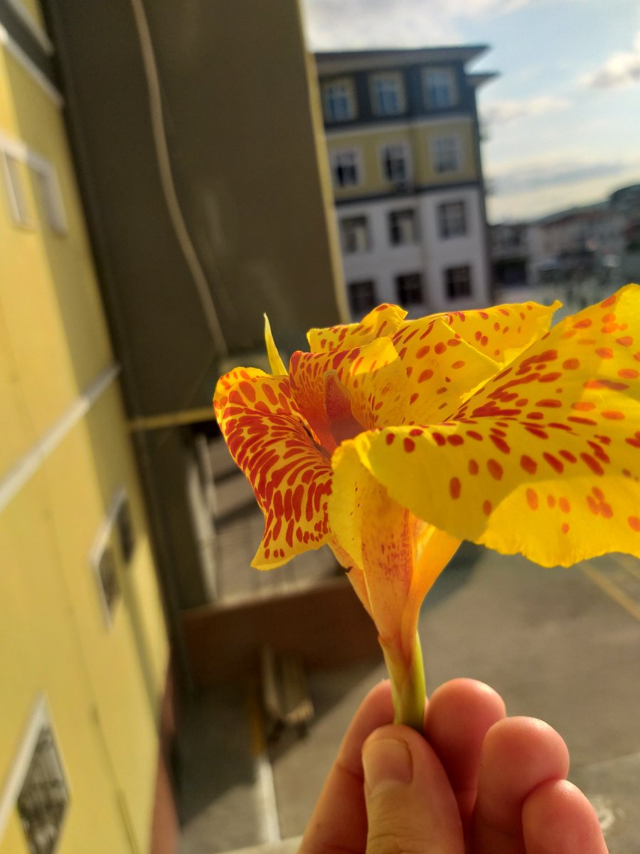 Bana peygamber mesleğini sevdiren miniklerim iyiki...