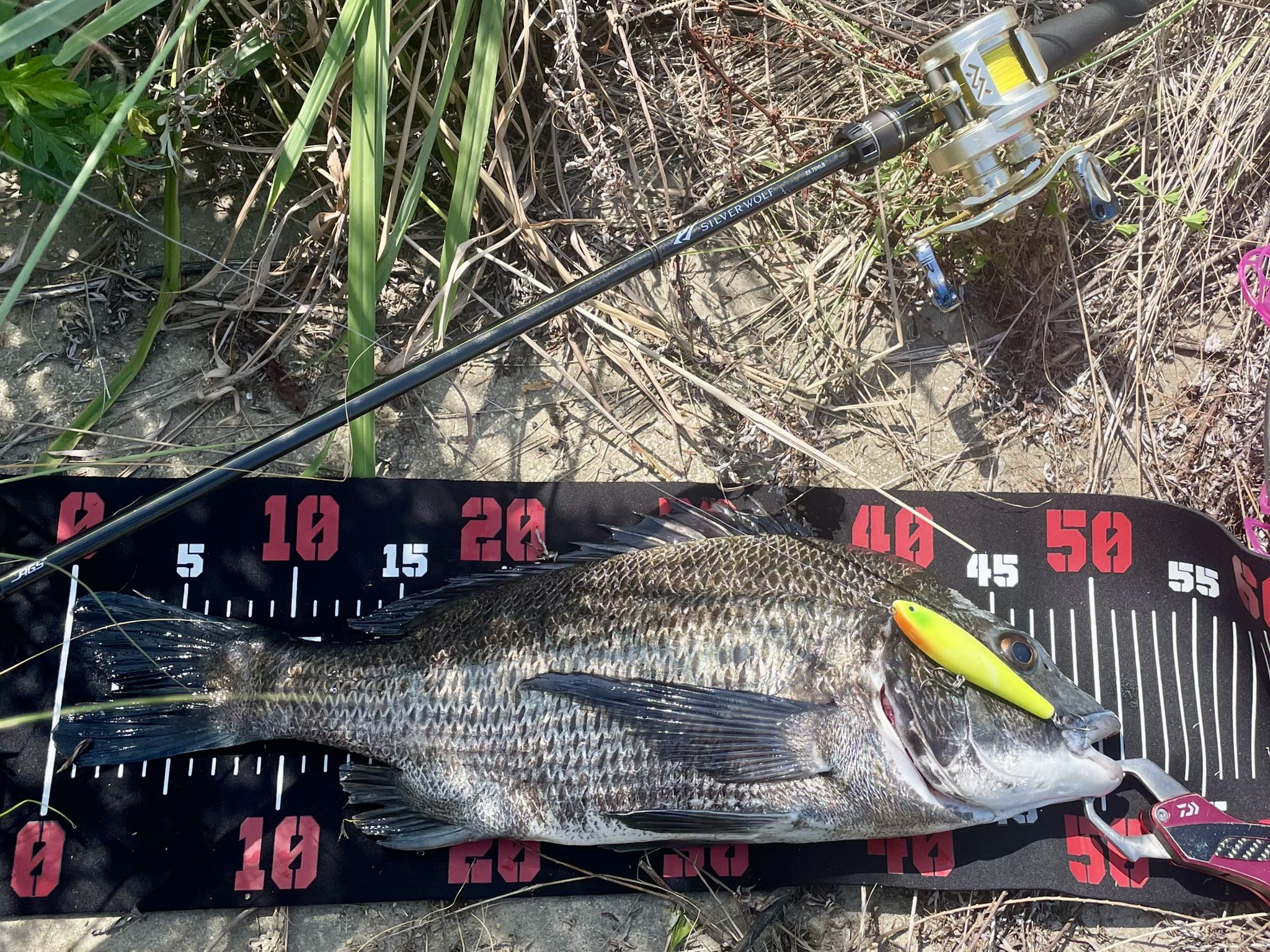 Ｊ 丸物１０キロ・荒１０キロ 備長炭 丸物、荒、各10キロ アウトドア