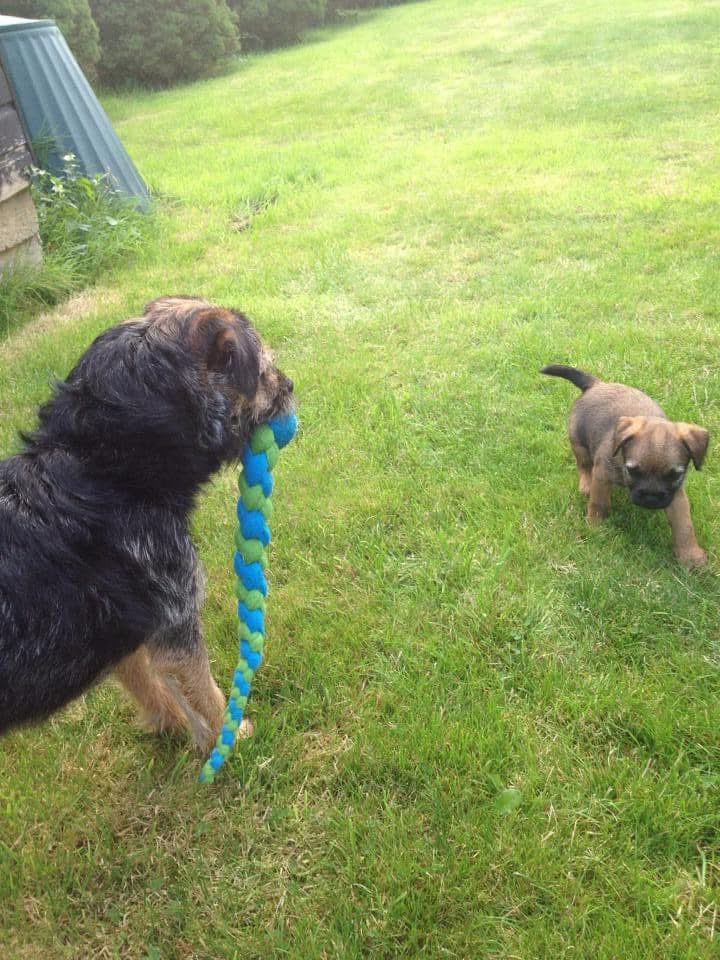 Lord Duncan Pickles tweet media