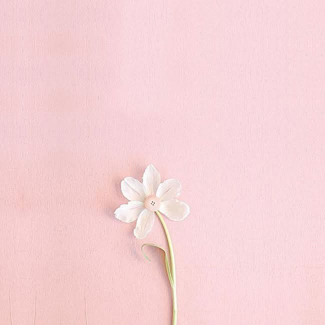 'So teach us
to number our days,
that we may apply our hearts
unto wisdom.'