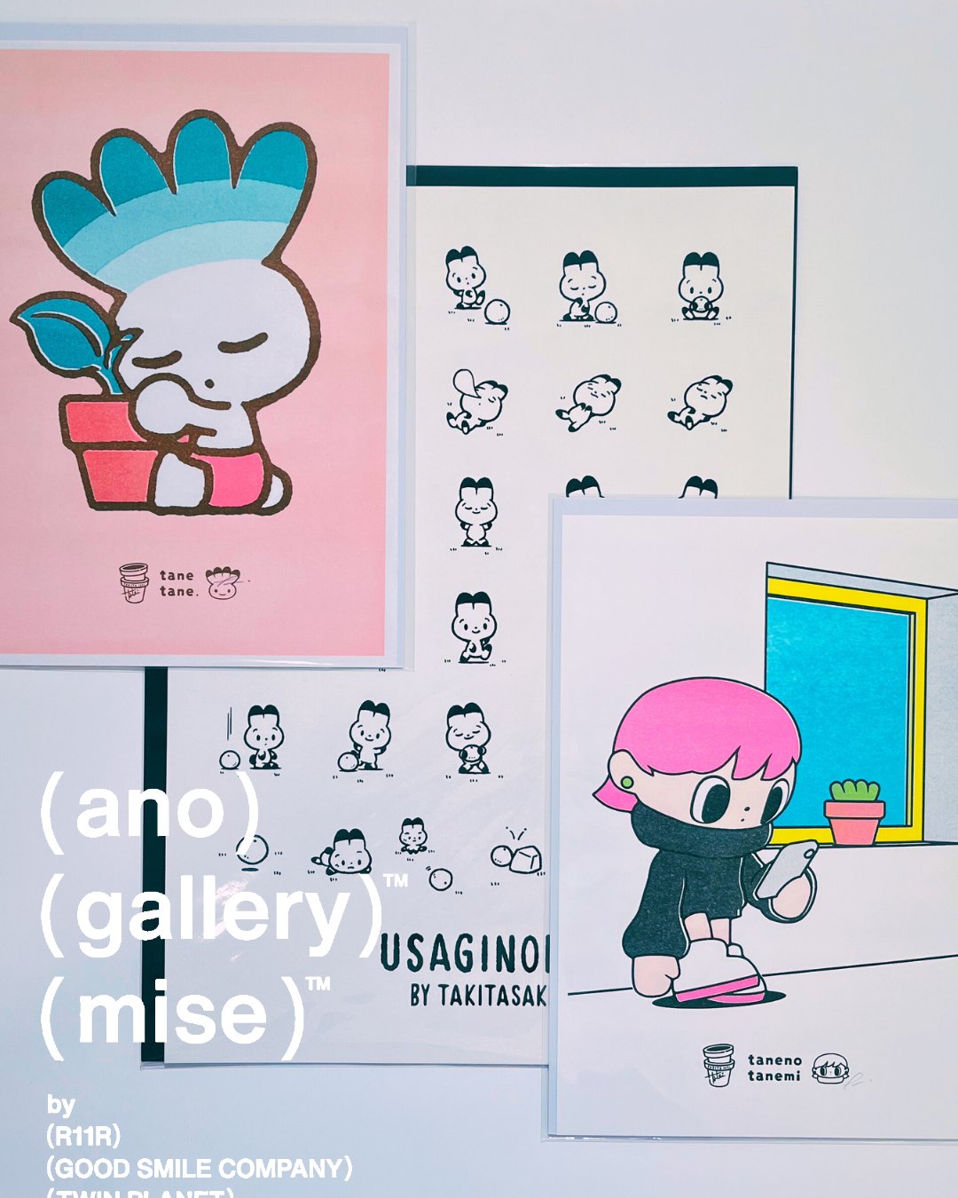 はくさい君　さくら　サクラ　ピンク　桜　SAKURAオリジナルカラー　タキタサキ はくさい君 さくら サクラ ピンク 桜 SAKURAオリジナルカラー