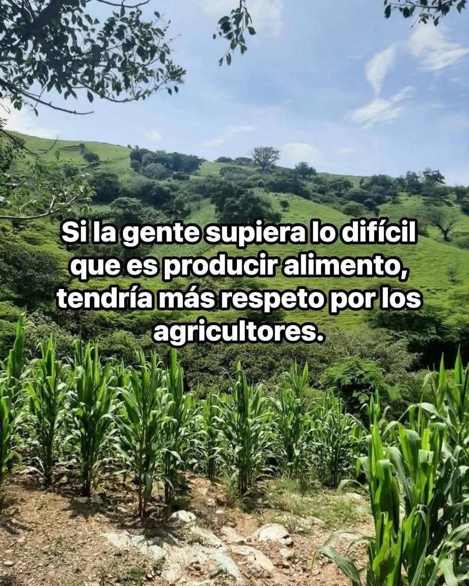 RincnCuriosoo's tweet image. Sí.