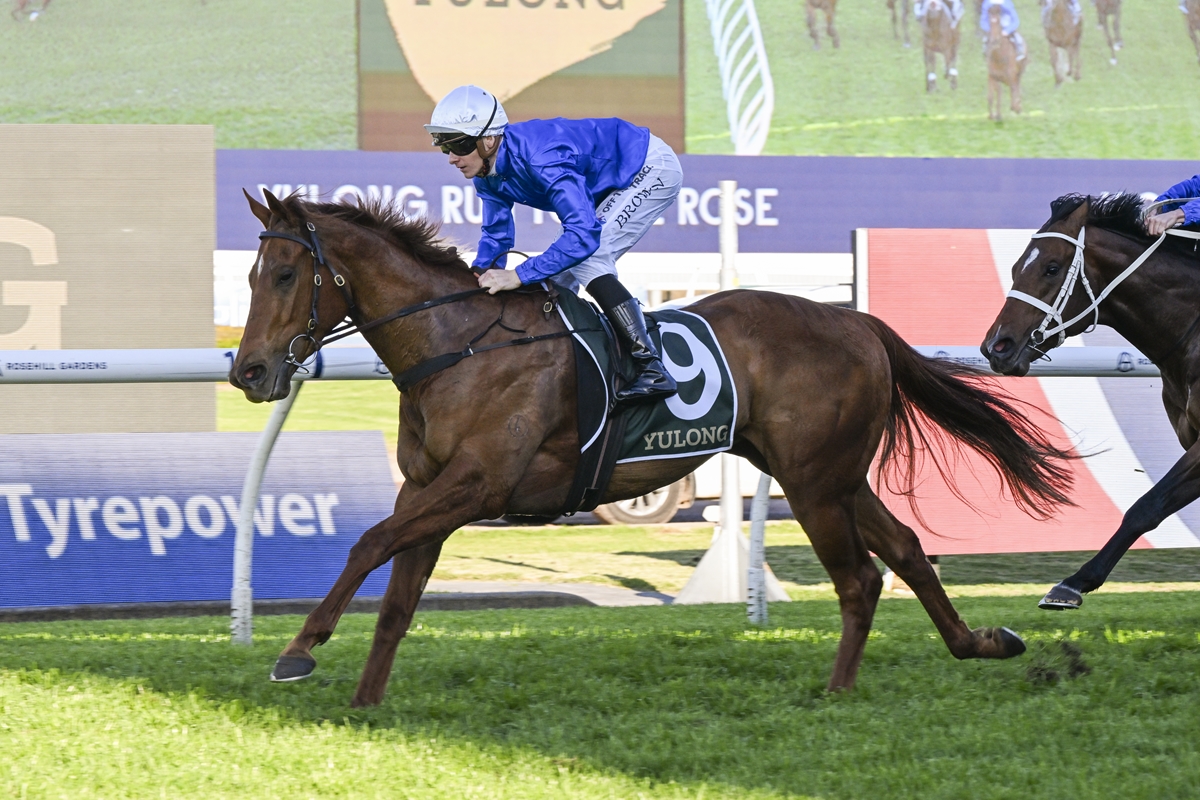 DarleyAus's tweet photo. 💥 Tempted (#StreetBoss), announced herself as one of Australia’s best sprinters, with a dominant 104 in the Run To The Rose. 

Only Joliestar’s 105 (Newmarket) has been rated higher in 2025. https://t.co/hJuSSMTXcn