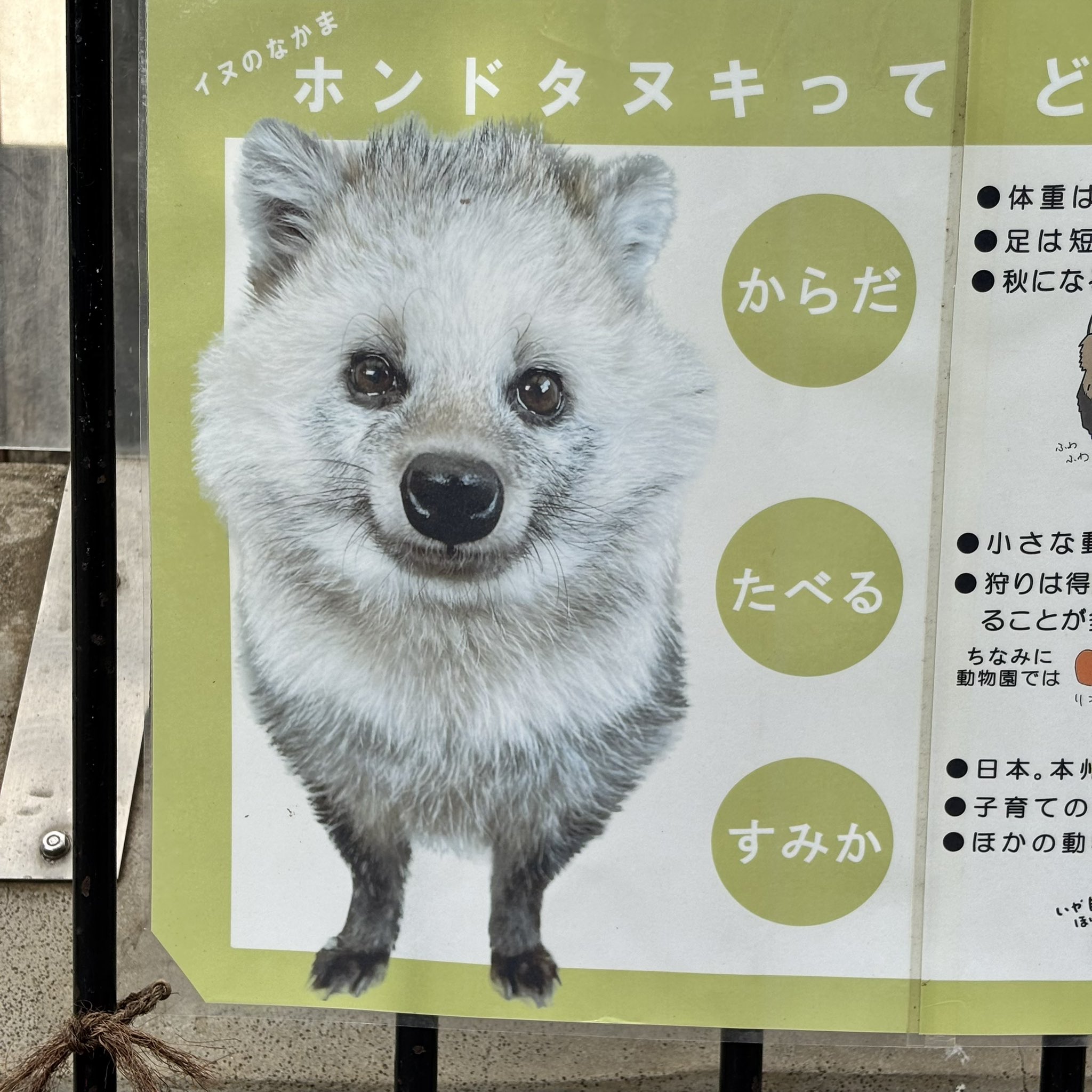 ちょたろ※プロフ確認必須ページ ちょたろ※プロフ確認必須ページ ZX] I thought it was a ZX part