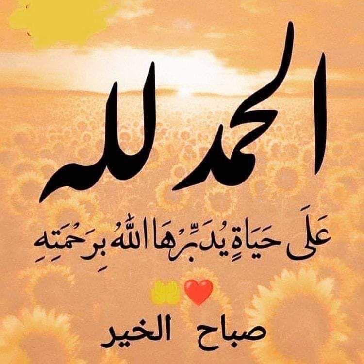 صباح الخير 🌹