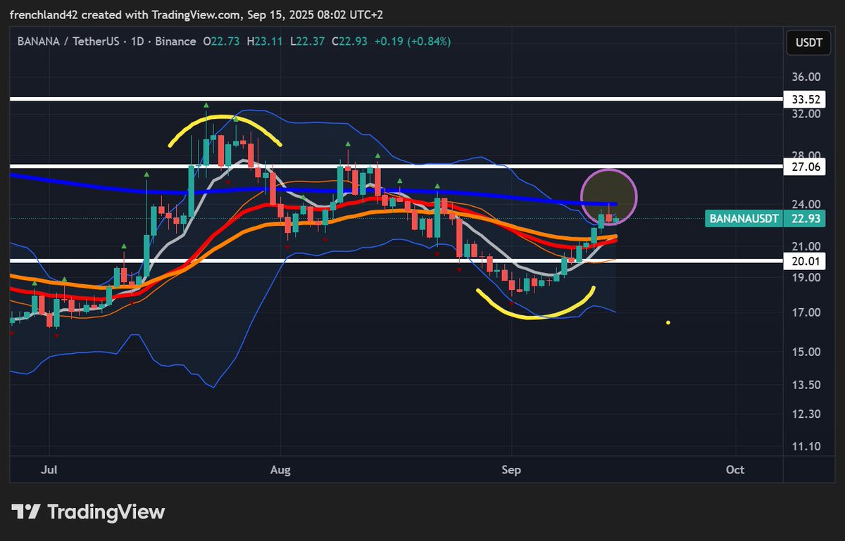 cryptoLOIRE's tweet image. $BANANA
fake out to the upside, fake out to the downside, now facing the ema200 on the daily, last hurdle before biblical pump i believe for @BananaGunBot. project has more revenue than MC. @CryptopepperP @cryptocevo