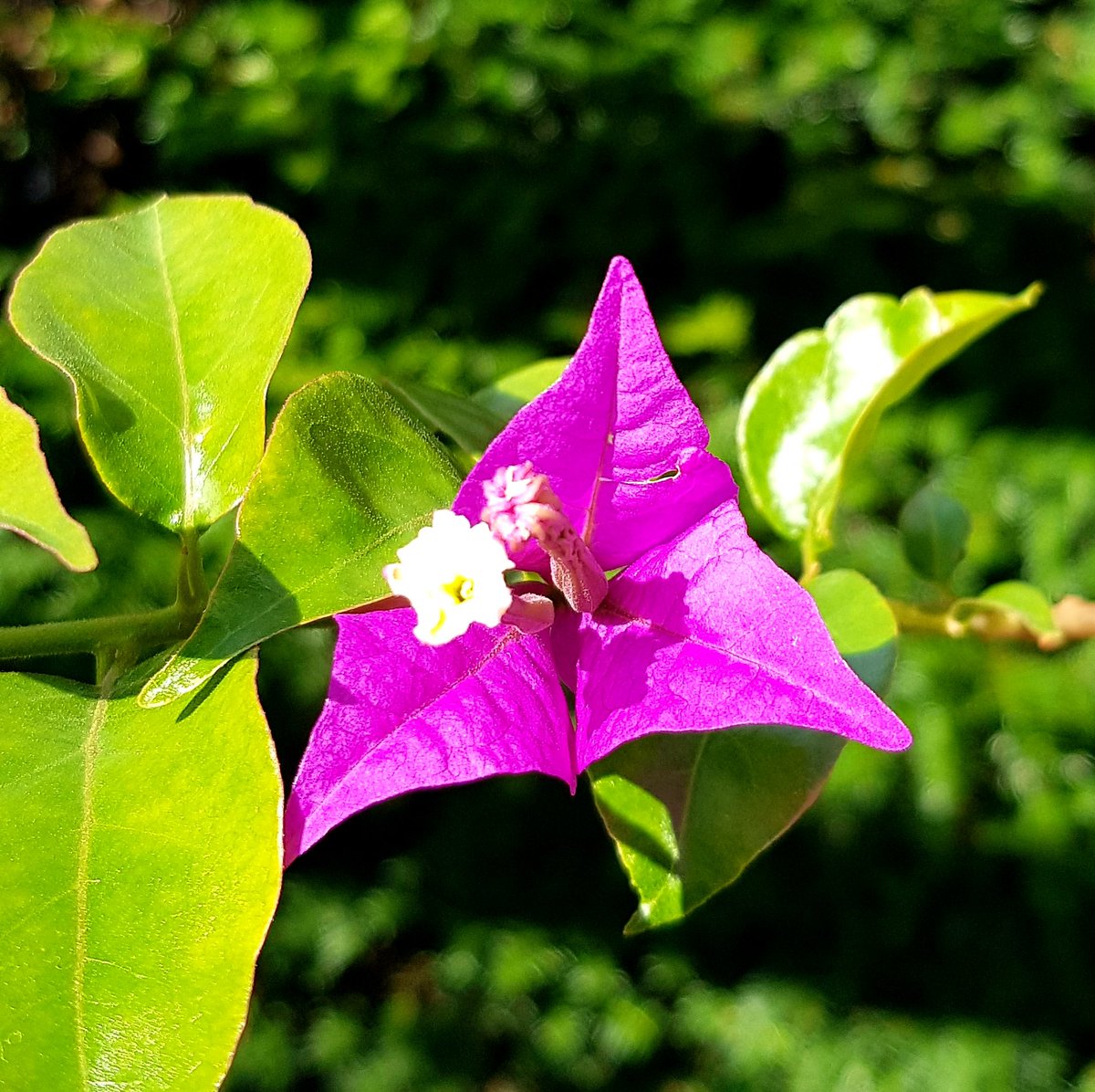 Guten Start in die neue Woche 😊