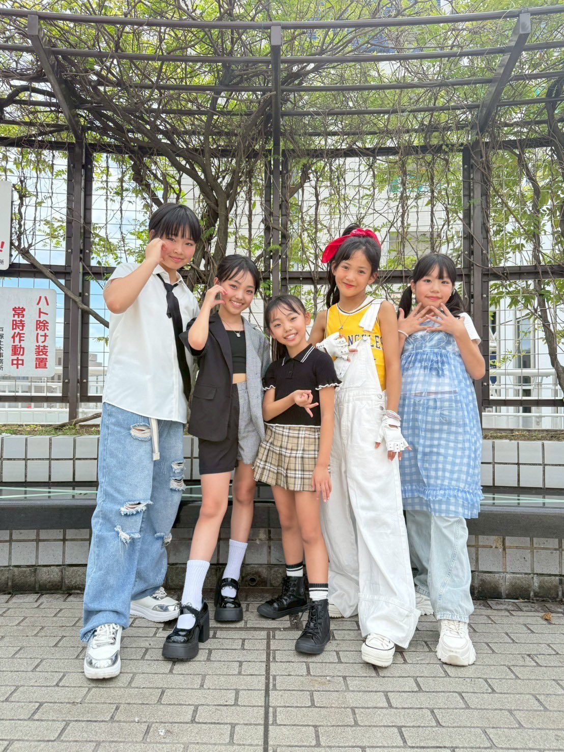 ココちゃん COCO (@coco_coco000) • Instagram photos and videos