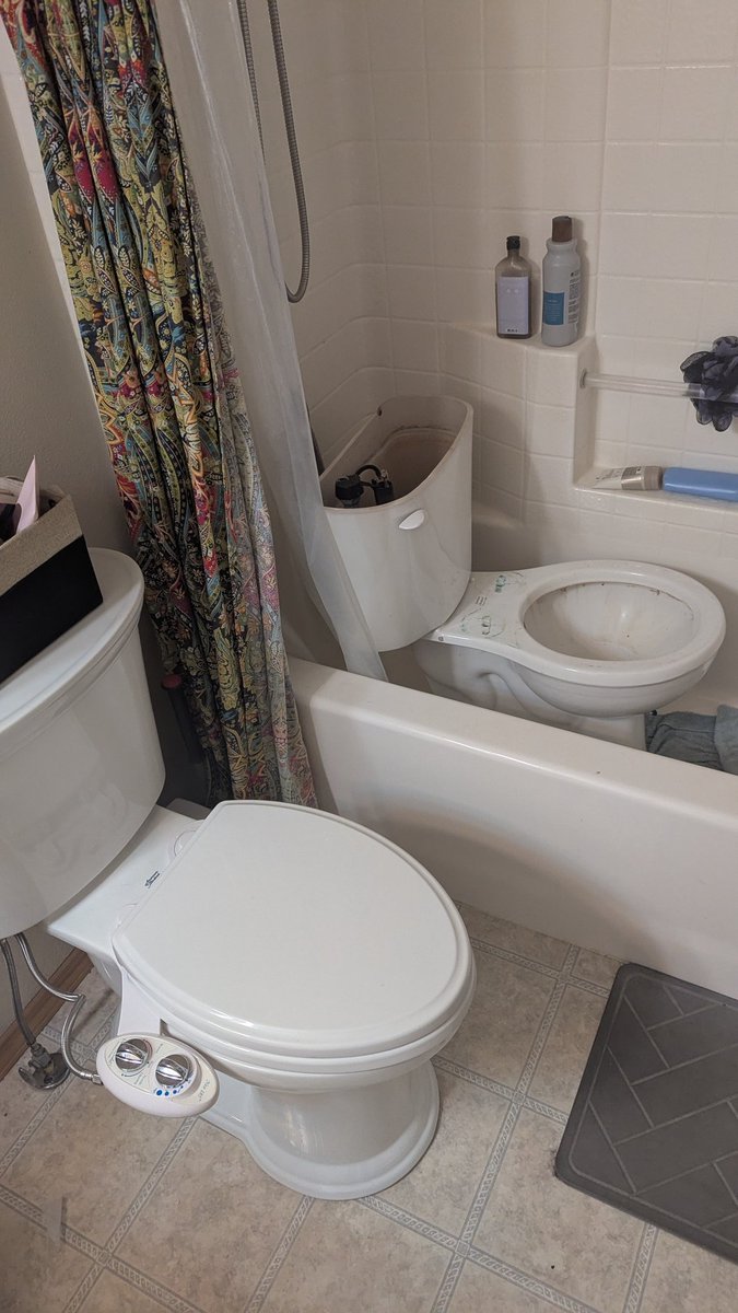 VinCactus tweet media