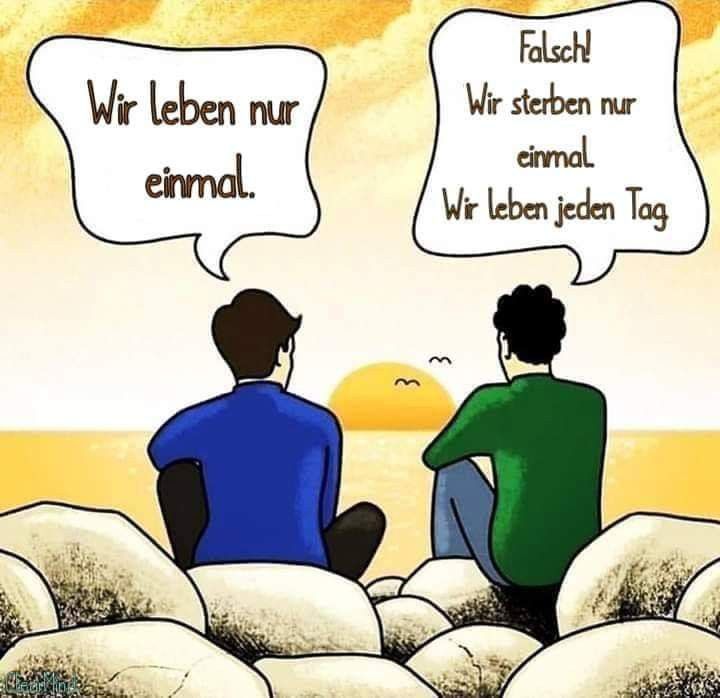 CorneliaWeigl's tweet image. #geniessen 🫶🥳💝💚