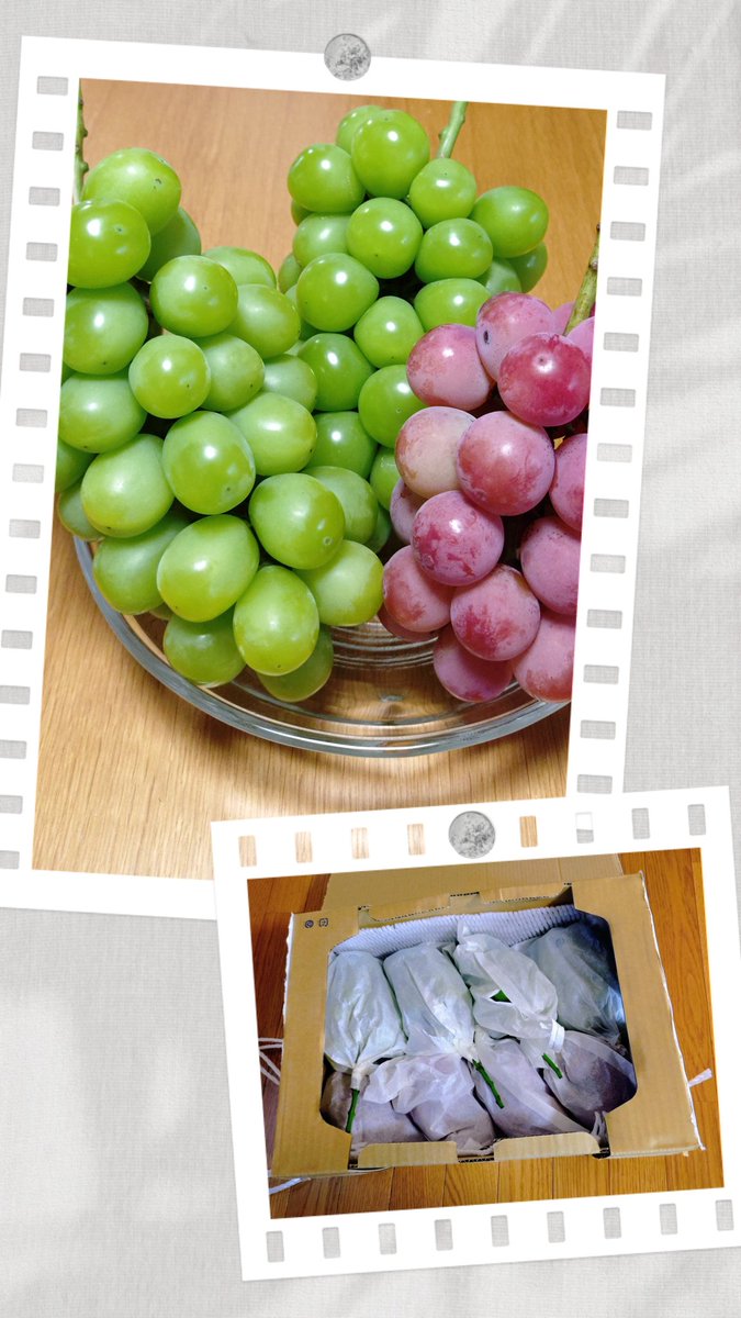 岡山の友達から
今年も葡萄が届きました🍇🙇
