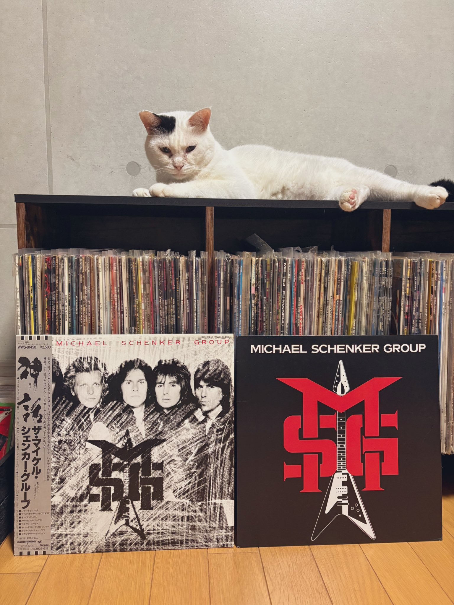 じゃん様 マイケルルー　猫　画題Fuzzy on GG Bridge Amazon.co.jp: マイケル・ルー Fuzzy on GG Bridge ポップアート