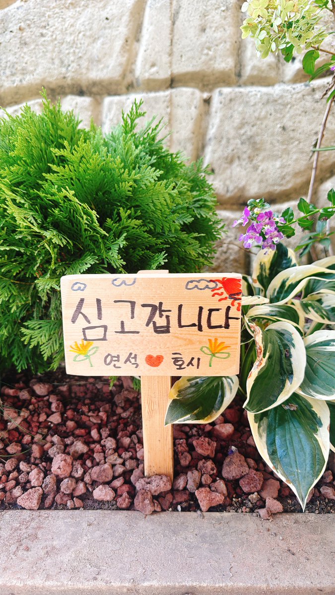 haruhoney👼🐯🦊 tweet media