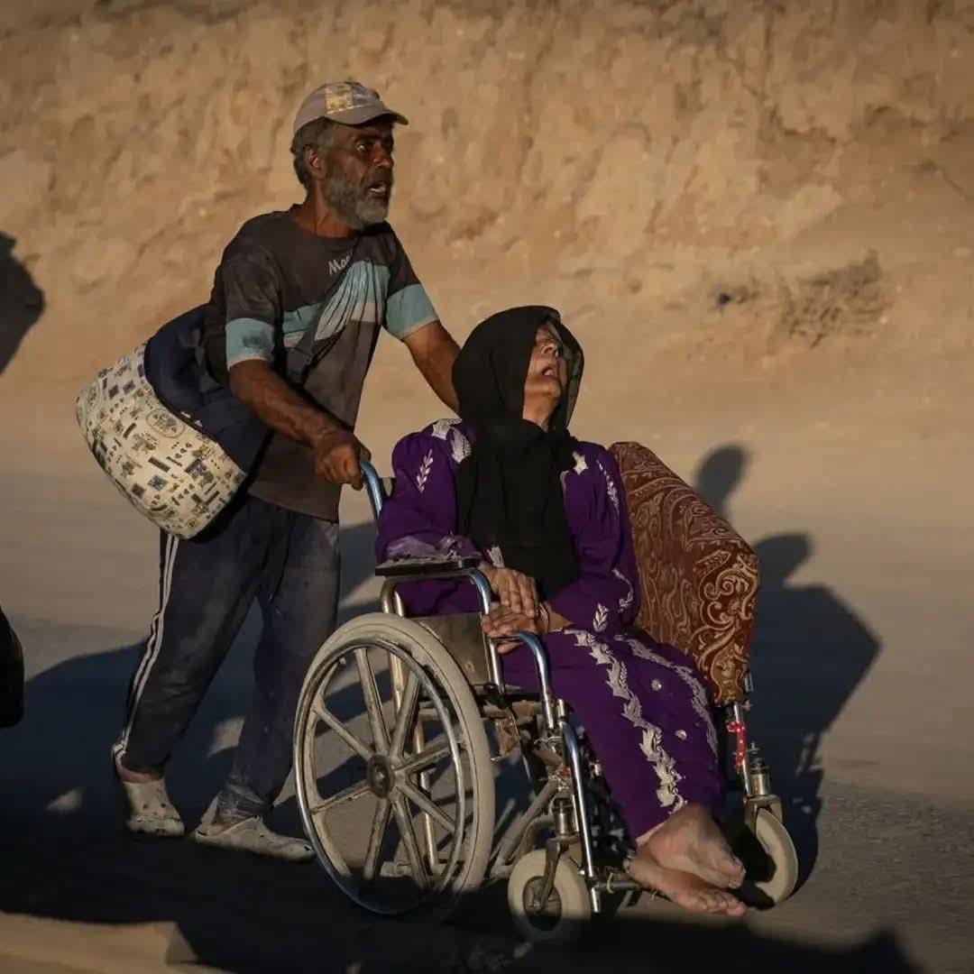 Reham Meri 🇵🇸 𝕏 tweet media