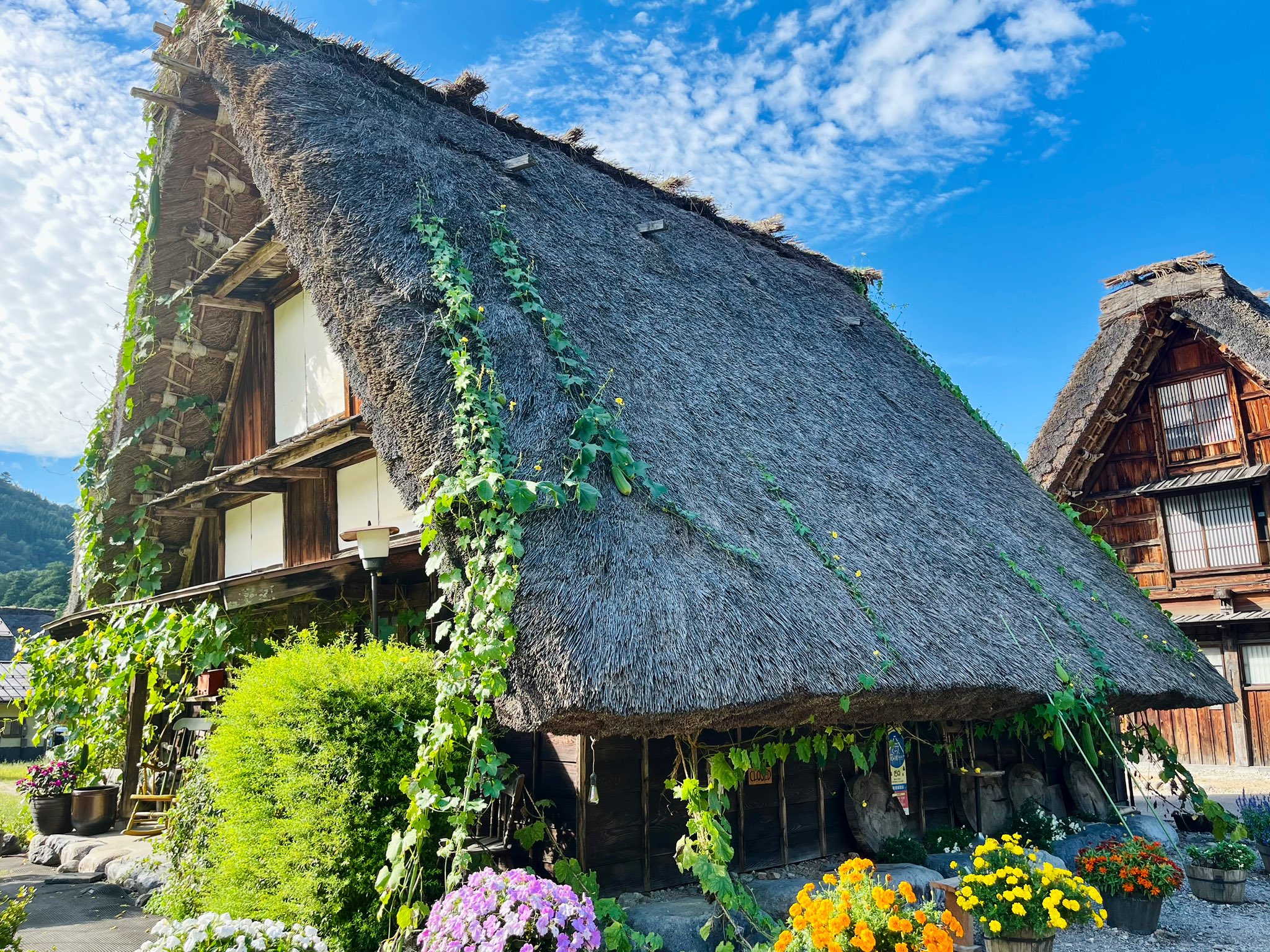 画題　葦の里　世界遺産　白川郷　アクリルキャンバス画F30号（額装なし 画題 葦の里 世界遺産 白川郷 アクリルキャンバス画F30号（額装