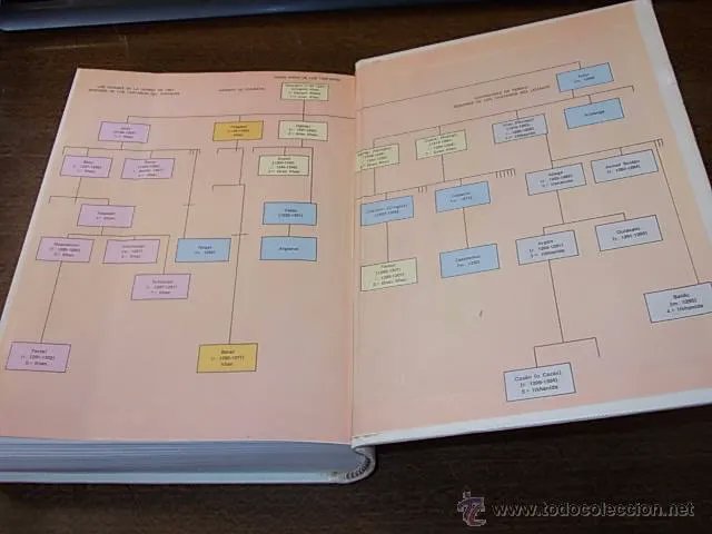 LibrosVintage's tweet image. Este libro es una maravilla. Quizás el más bonito de toda la colección

&apos;Libro de las Maravillas&apos;
Colección #TusLibros n° 27.
Ediciones Generales #Anaya, 1984. 

Marco Polo (15 sept 1254-8\9 enero 1324)