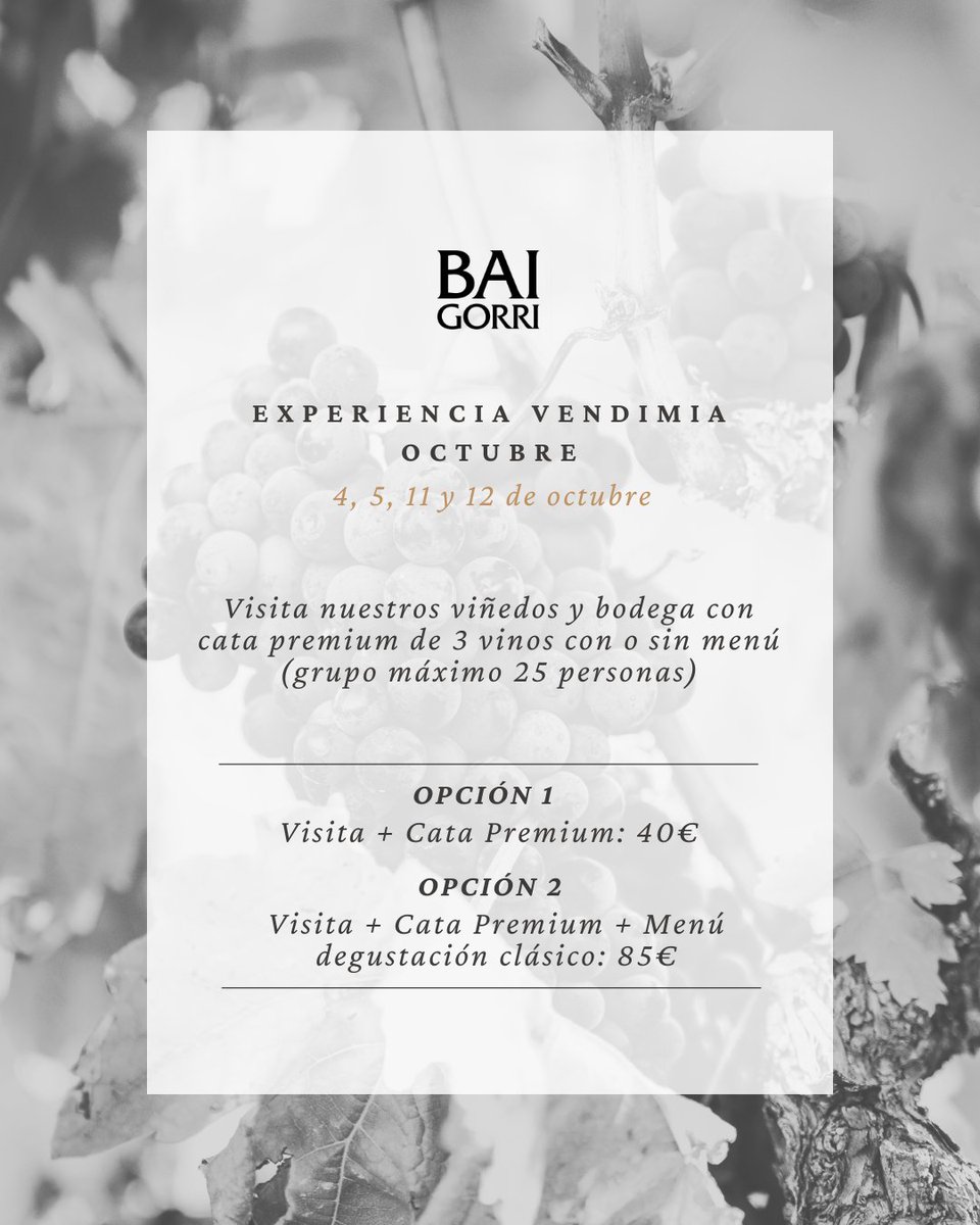 ¡Vuelven las experiencias de vendimia en Bodegas Baigorri!

✖️ bodegasbaigorri.reservaswolfcrm.es
-
The harvest experiences are back at Bodegas Baigorri!

✖️ bodegasbaigorri.reservaswolfcrm.es