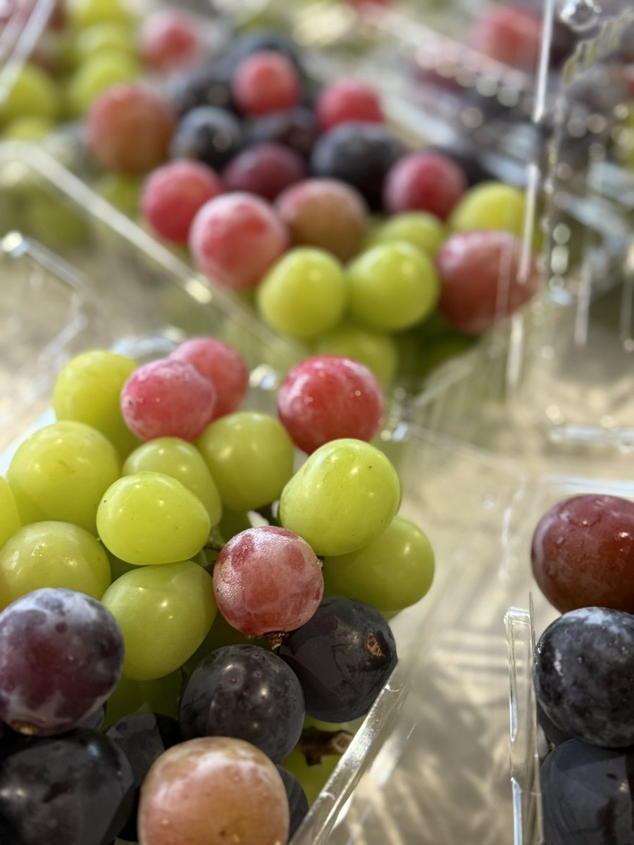 kusashio's tweet image. 3連休の営業が終わりました。秋の味覚、シャインマスカット狩り大人気でした。理想園の試食パックも沢山出ました＼(^^)／
これから明日の準備に入ります。この時期は、シャインマスカットをたっぷり入れて作ります♪