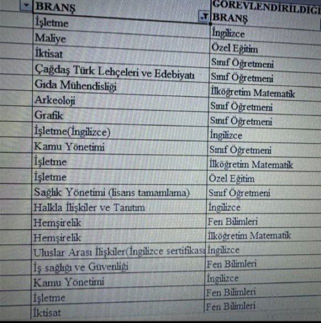Sokak röportajı yapan bir hanımefendinin öğretmen mağduriyetleriyle ilgili sözleri sonrası herkes “bu kişi öğretmen değil” diyerek paylaşımlar yaptı. Ama kimse aşağıdaki tabloya bakıp da “bunlar öğretmen değil” demiyor. Arkeoloğun sınıf öğretmeni olmasını normal karşılıyorlar…