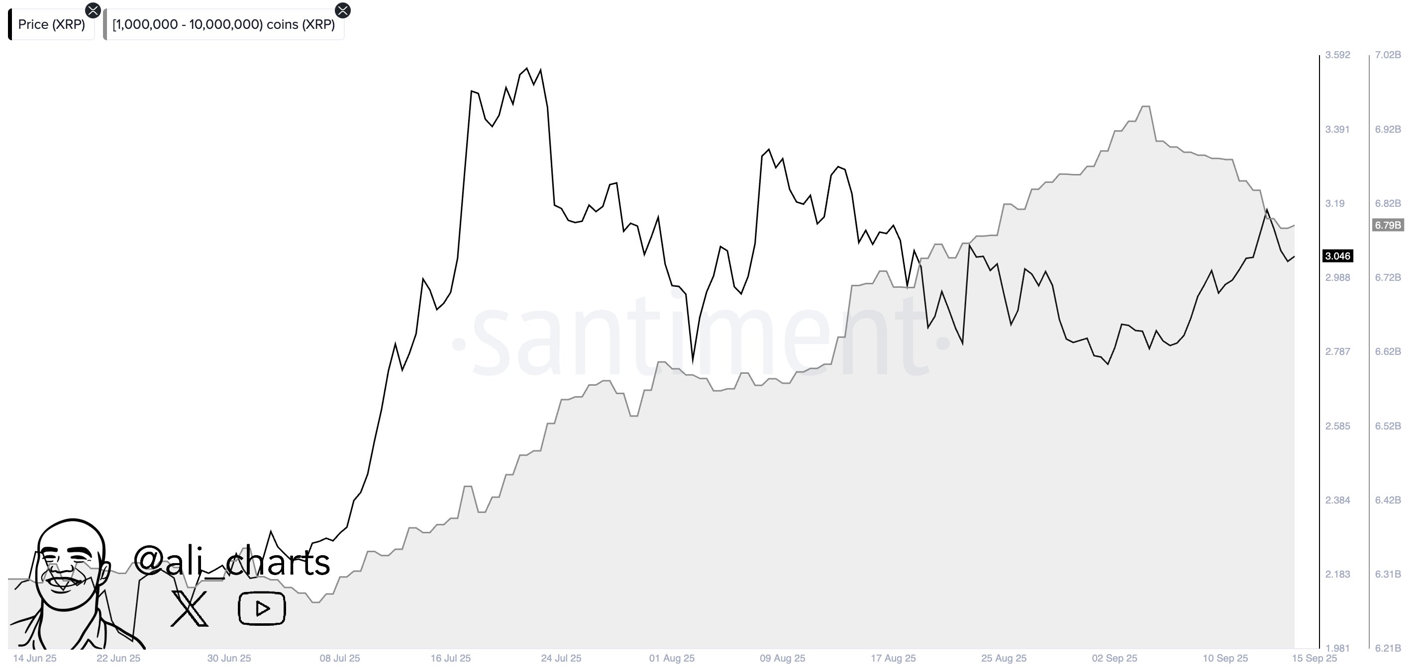 XRP Whale Supply