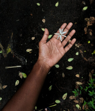 SoHamOrg's tweet photo. “Today’s spotlight: #SDG13 – Climate Action. 🌱
Every action counts, no matter how small. What’s one eco-habit you practice daily?”
 Threads Tag: #SDGs
 Twitter Hashtags: #GlobalGoals #SDG13 #ClimateActionNow https://t.co/bAtApeb7re