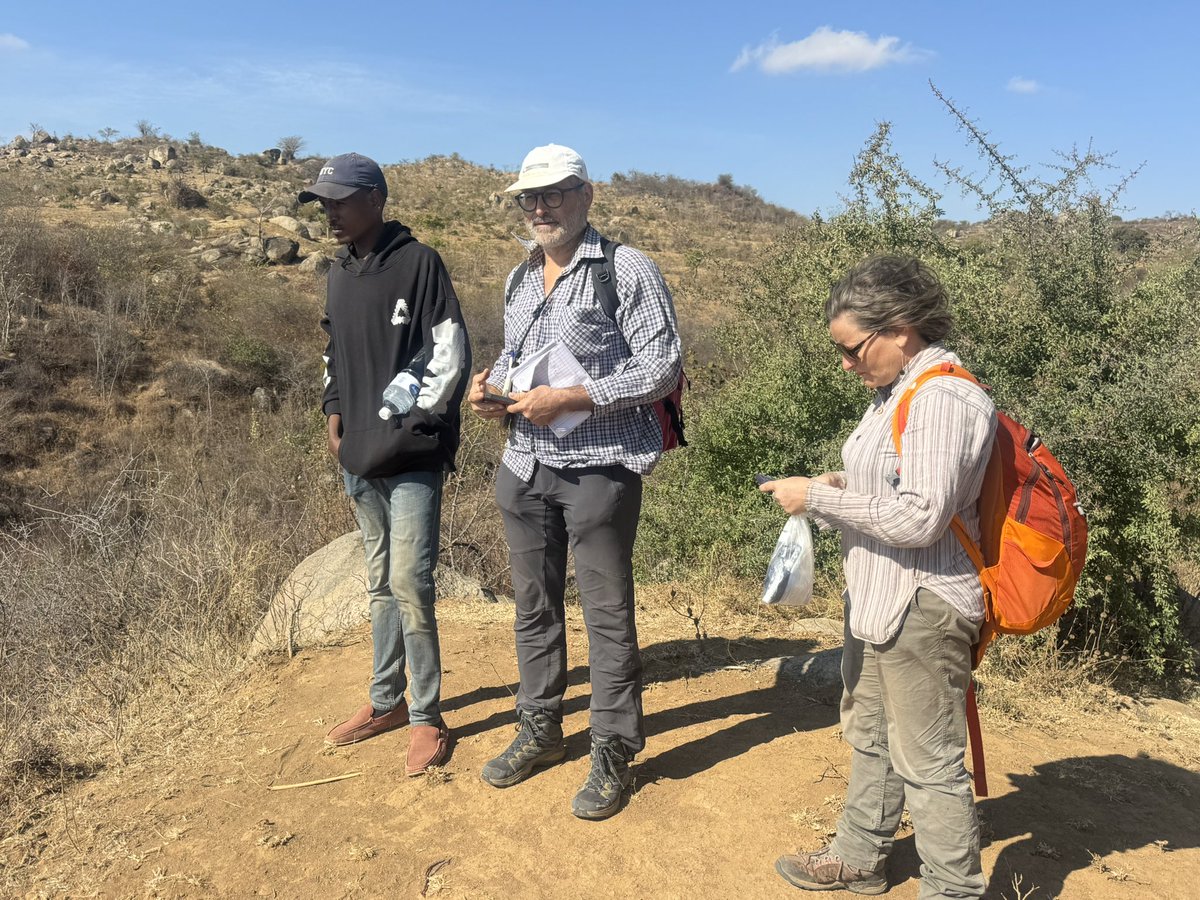 MakariusItambu's tweet photo. Archaeological excavations, Singida region -Tanzania 

Fouilles archéologiques, région de Singida -Tanzanie https://t.co/r9Q5b46gNl