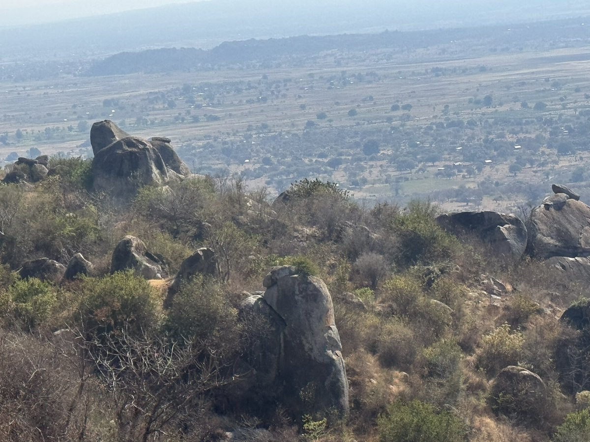 MakariusItambu's tweet photo. Archaeological excavations, Singida region -Tanzania 

Fouilles archéologiques, région de Singida -Tanzanie https://t.co/r9Q5b46gNl