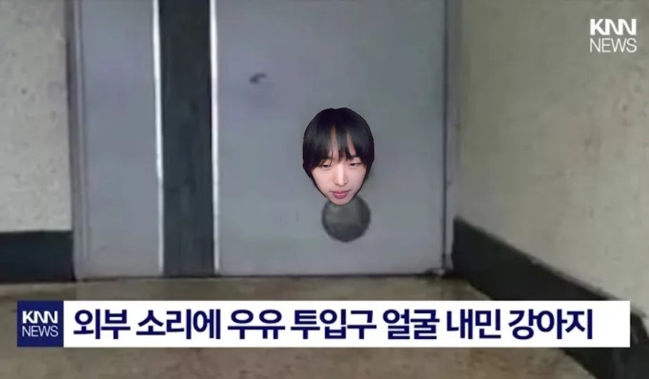 외부 소리에 우유 투입구 얼굴 내민 강아지