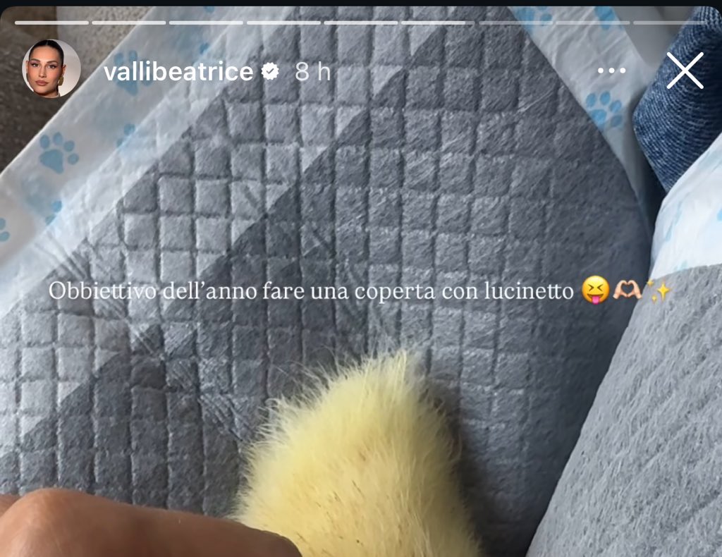 ADTOOMUCH💌 tweet media