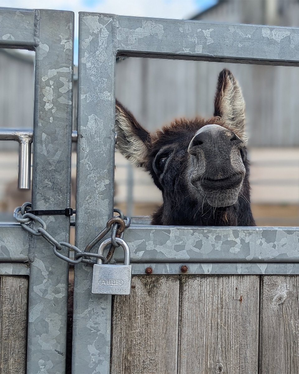 What has caught Jet's eye this morning? 😋