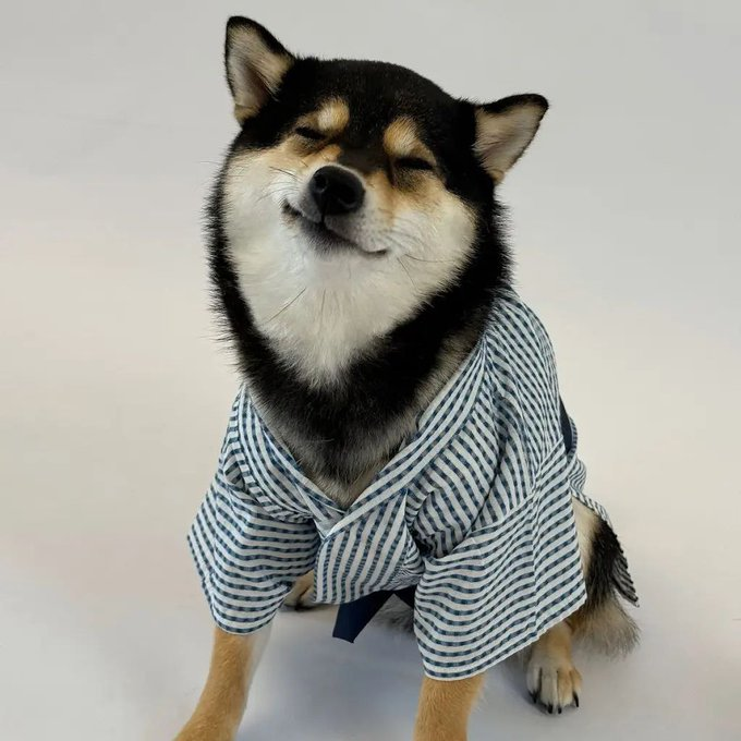 MANYU MEME tweet media