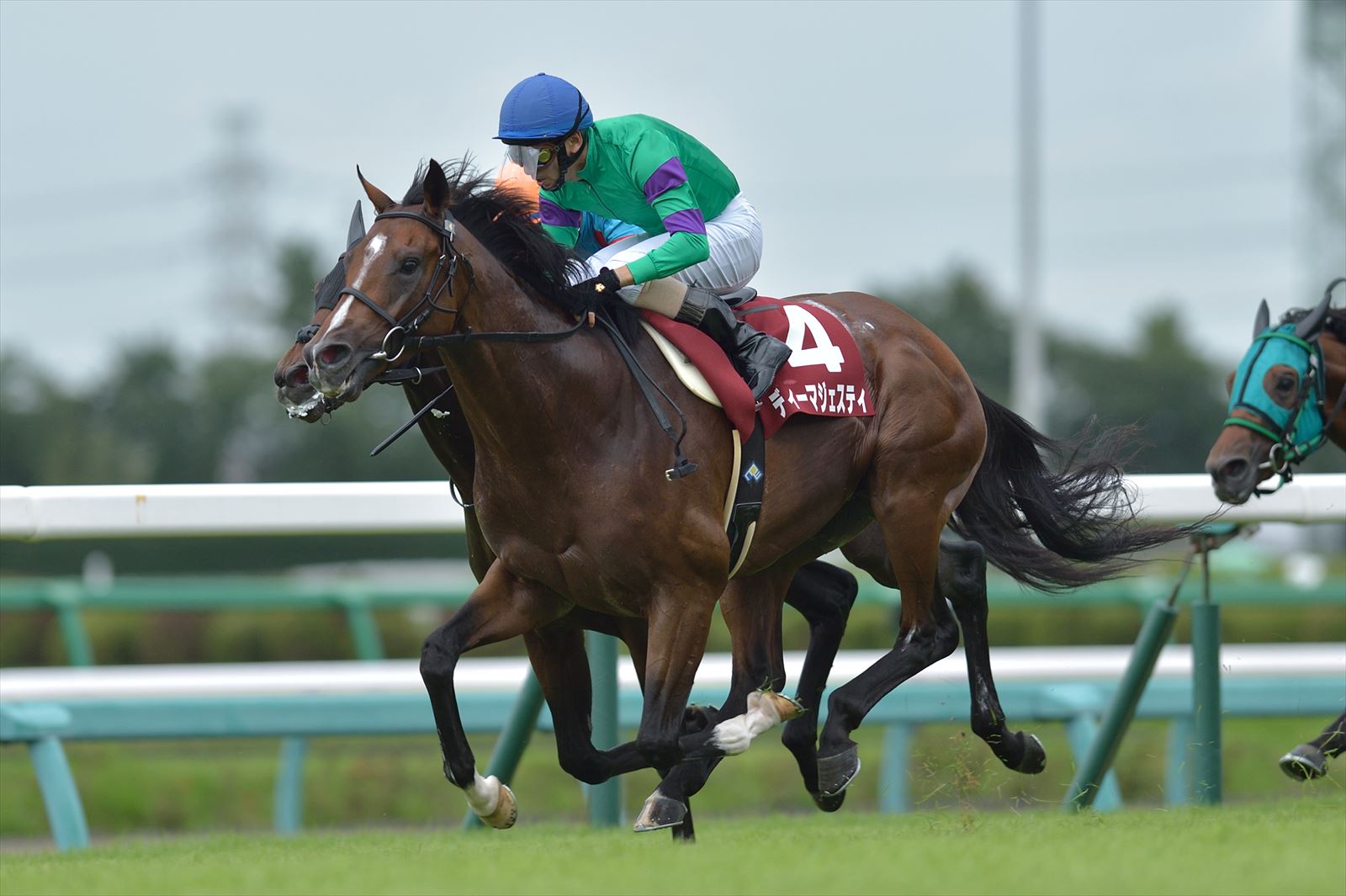 合馬公式 netkeiba on X: 