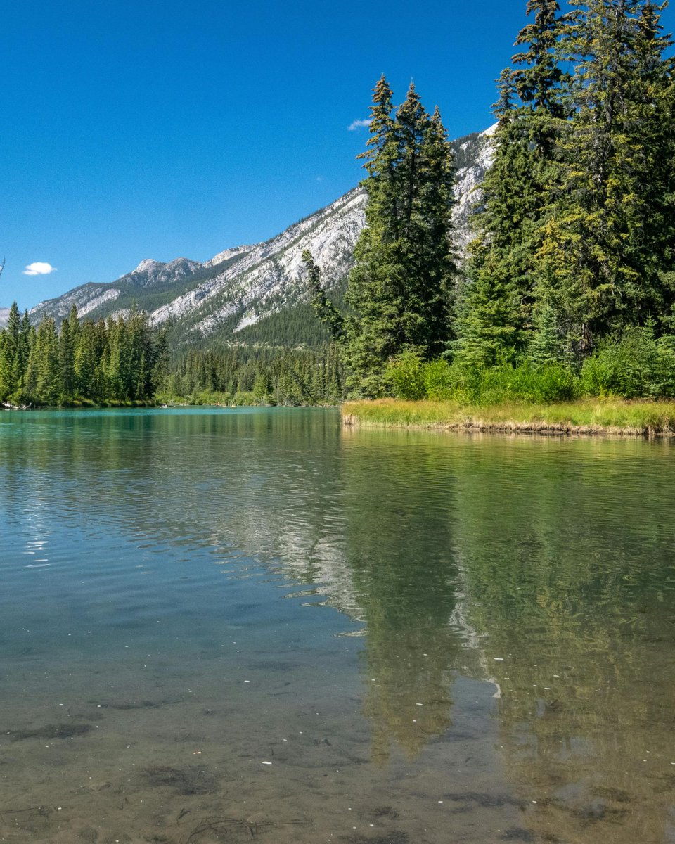 🏔️✨ Banff National Park is where nature feels larger than life — turquoise lakes, towering peaks, and endless alpine trails. A place that humbles you with its beauty. 🍁🇨🇦

#Banff #Canada #Travel