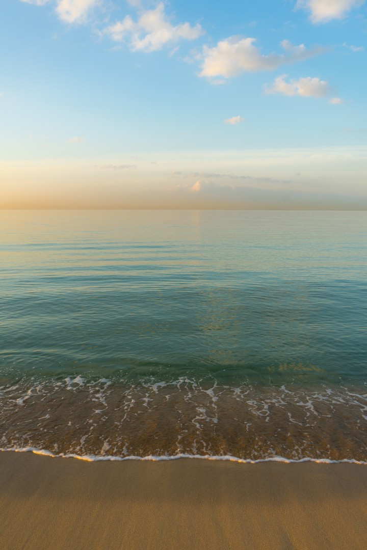 Un rincón de la Playa de Palma donde el paisaje invita a disfrutar de momentos llenos de conexión con la isla💙. Palma te ofrece panorámicas únicas a lo largo del año, ideales para vivir la isla en cualquier estación😍. 

#VISITPALMA 

📷 Sebastian Aggero