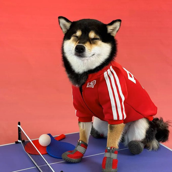 MANYU MEME tweet media