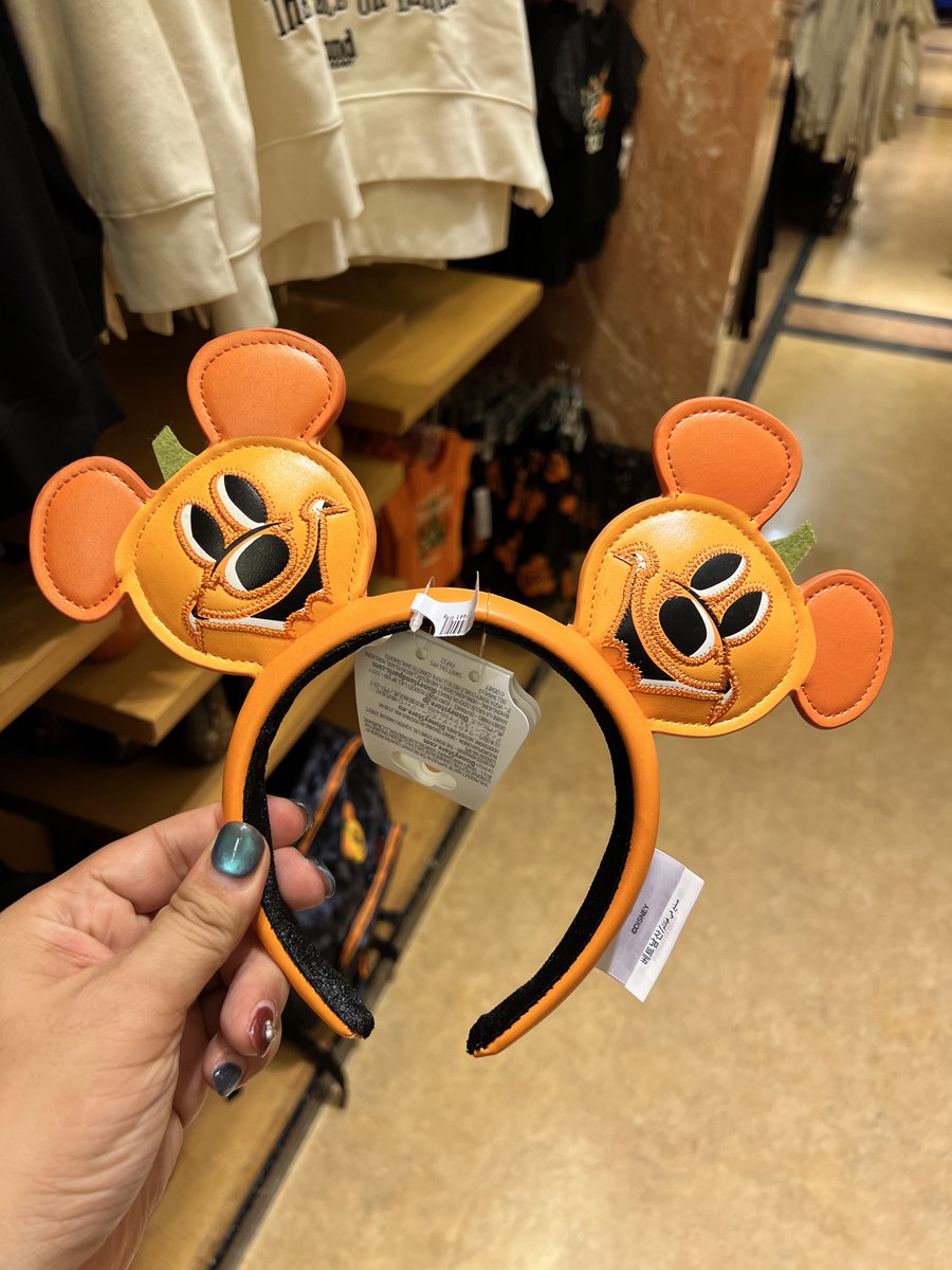 ヒロ (@mickeynet028) / Posts / X