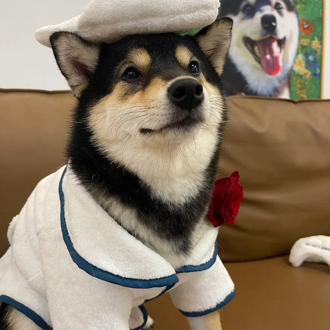 MANYU MEME tweet media