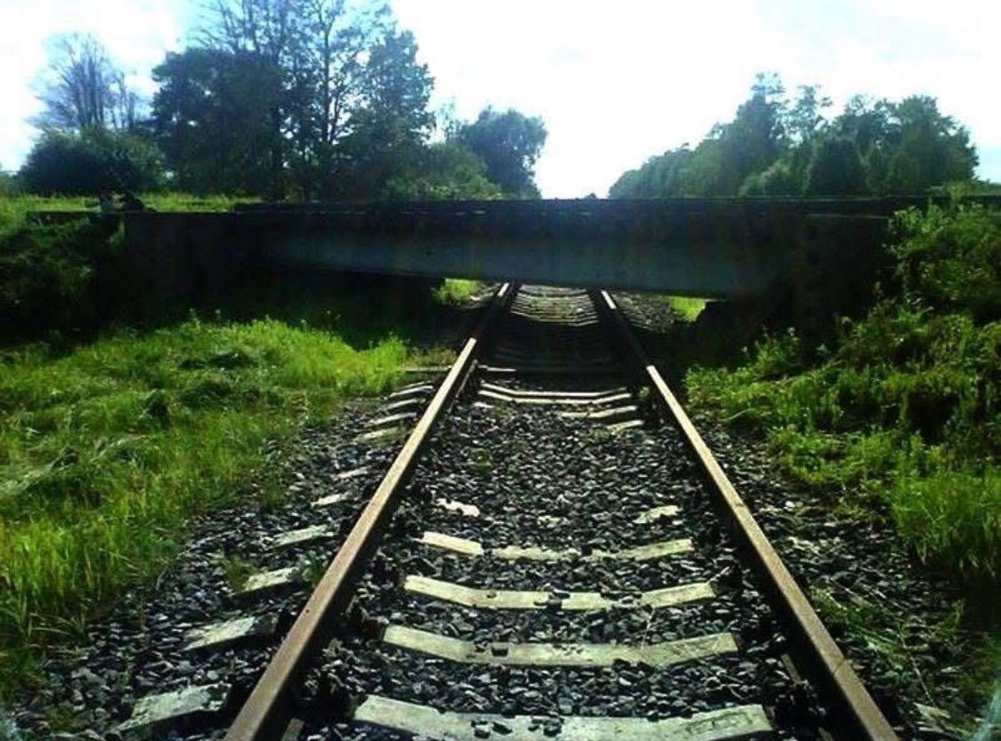 Column: Verspilling die wij betalen
Max von Kreyfelt 

Het is een ritueel geworden. Elk jaar weer staan de rekenkamers klaar met rapporten die zo voorspelbaar zijn als de regen in november: kosten die ontsporen, systemen die niet werken, beleid dat zijn eigen doel voorbijschiet.