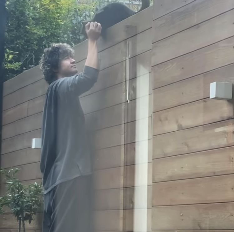 Cat dad cal🐈‍⬛