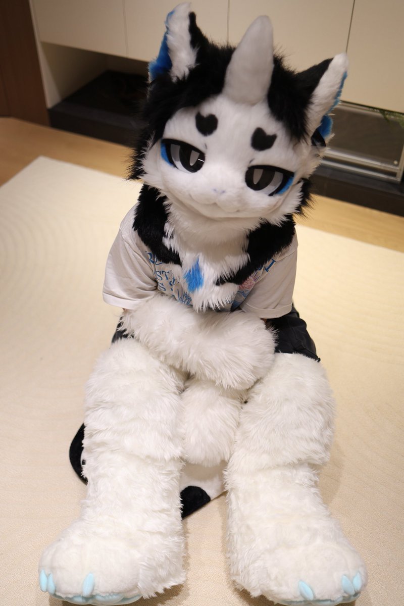 观看汤姆猫与杰利鼠| 季3 剧集30 | HBO Max, image size:800x1199