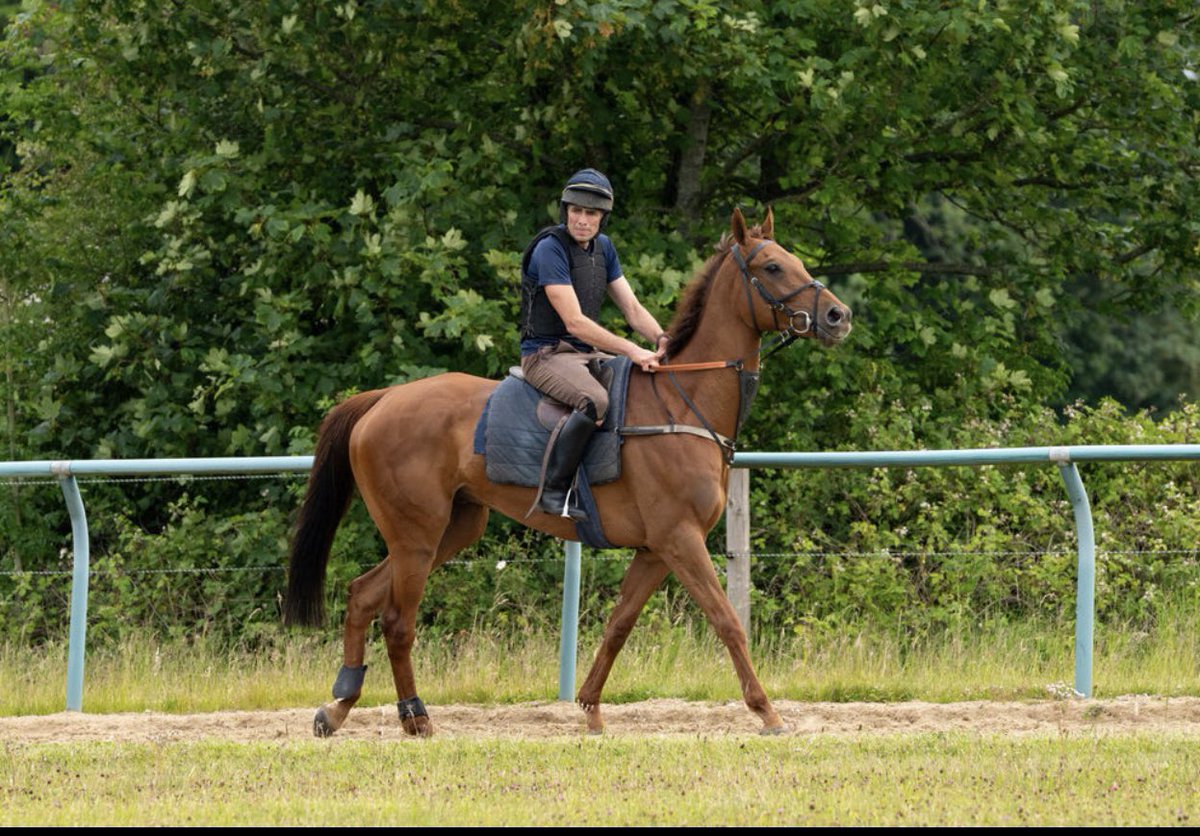 K&M Racing tweet media